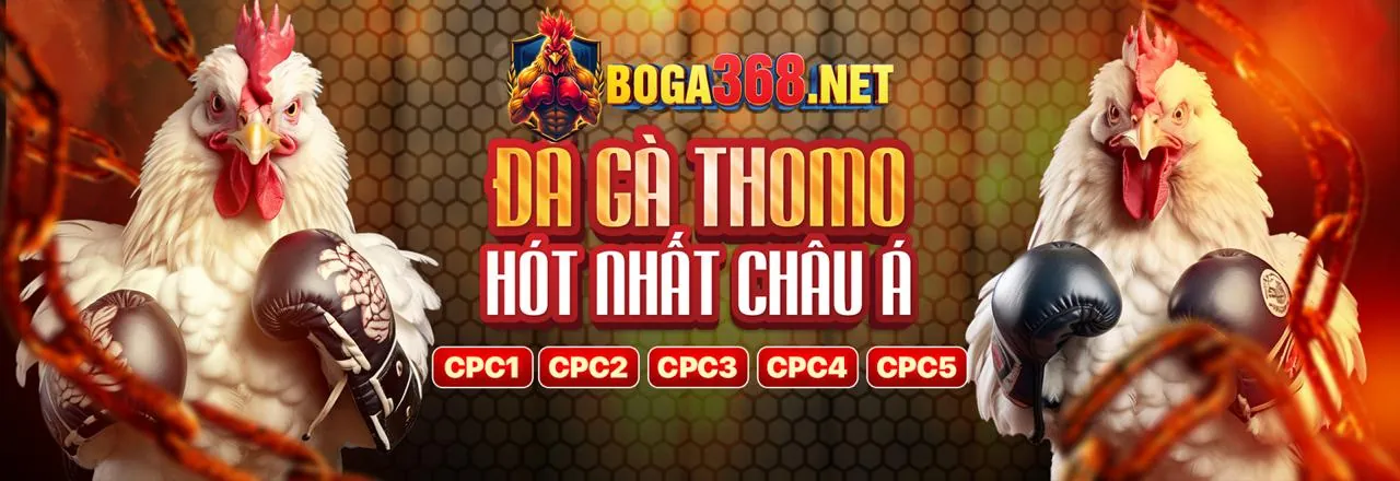 Đá gà trực tuyến Kwin Link Mới 2026